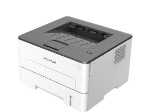 Pantum P3010D
