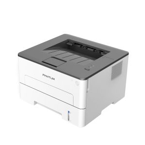 Pantum P3010D